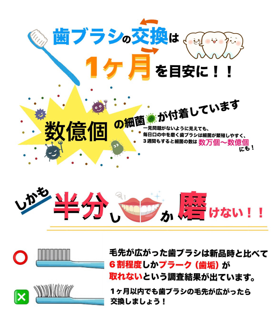 歯ブラシの交換頻度について🪥